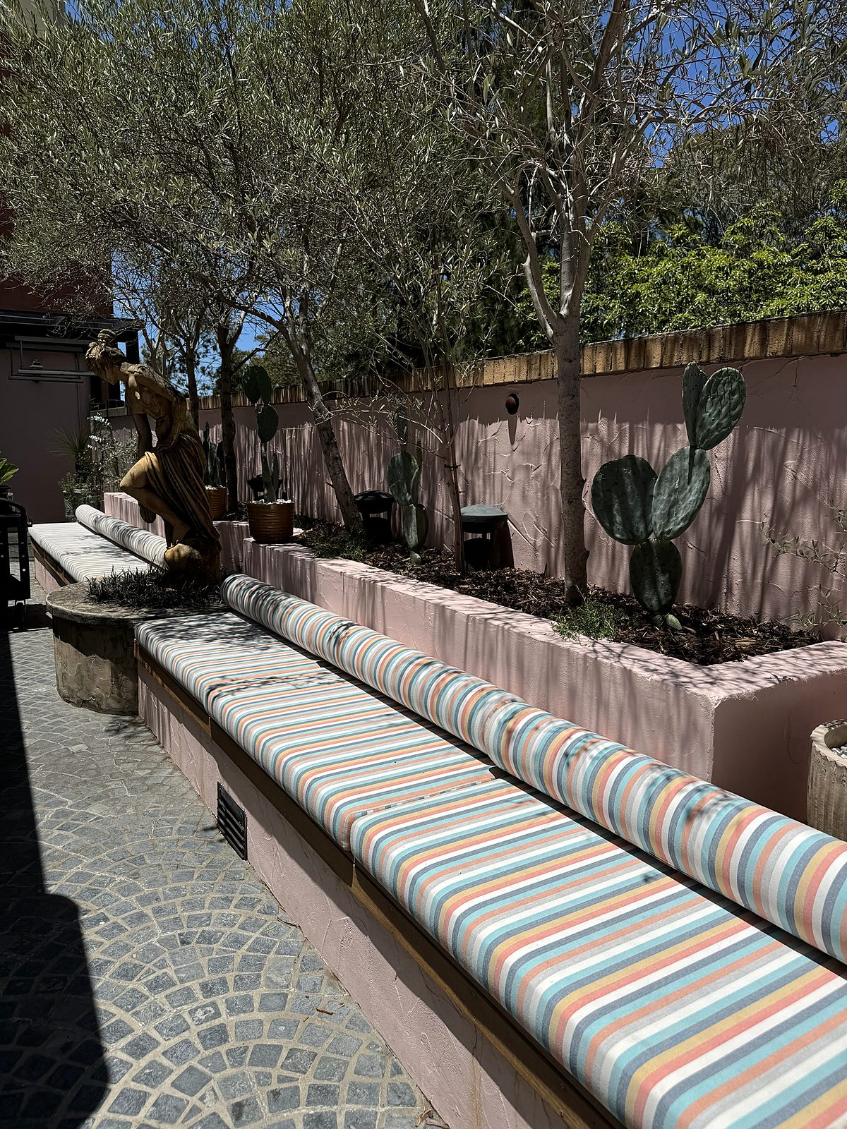 Venue courtyard with olive trees and cactus in raised rendered planters